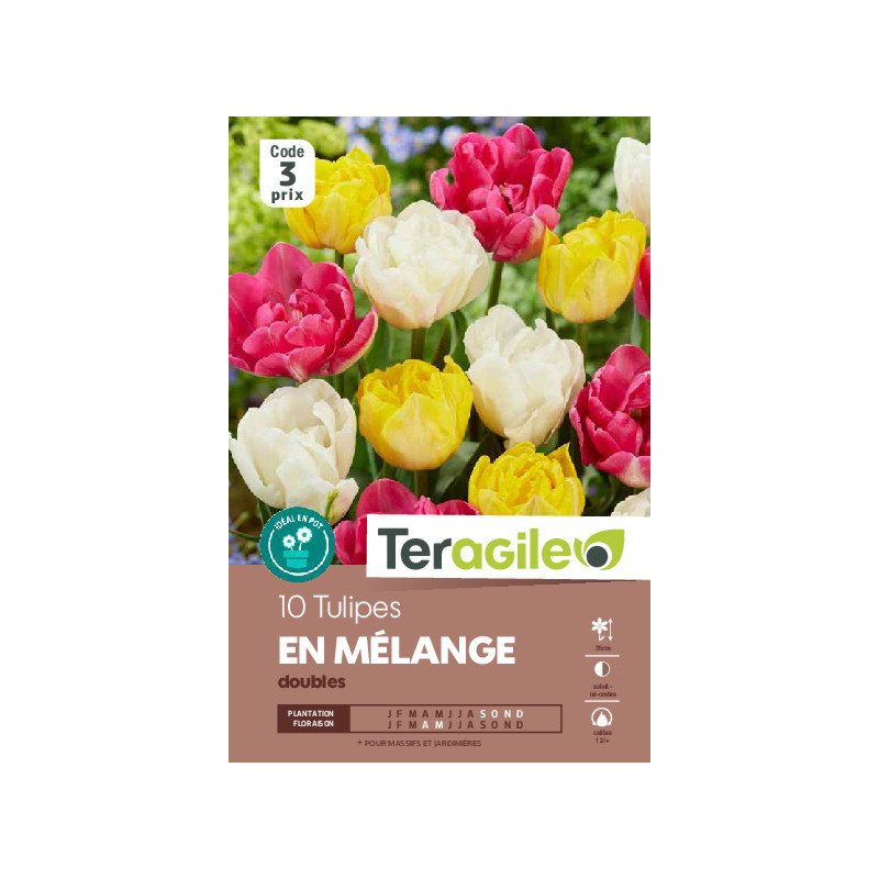 Tulipes doubles en mélange calibre 12/+ x10 de Teragile - produits pour le jardin dans Tulipe en bulbes