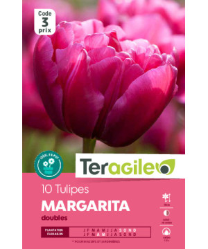 Tulipes margarita calibre 12/+ x10 de Teragile - produits pour le jardin dans Tulipe en bulbes