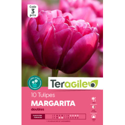 Tulipes margarita calibre 12/+ x10 de Teragile - produits pour le jardin dans Tulipe en bulbes