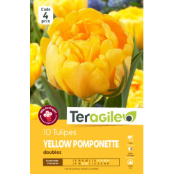 Tulipes yellow pomponette calibre 12/+ x10 de Teragile - produits pour le jardin dans Tulipe en bulbes