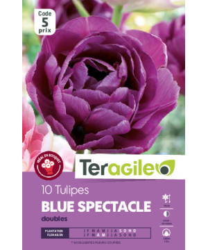 Tulipes blue spectacle calibre 12/+ x10 de Teragile - produits pour le jardin dans Tulipe en bulbes