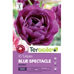 Tulipes blue spectacle calibre 12/+ x10 de Teragile - produits pour le jardin dans Tulipe en bulbes