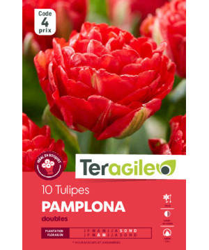 Tulipes pamplona calibre 12/+ x10 de Teragile - produits pour le jardin dans Tulipe en bulbes