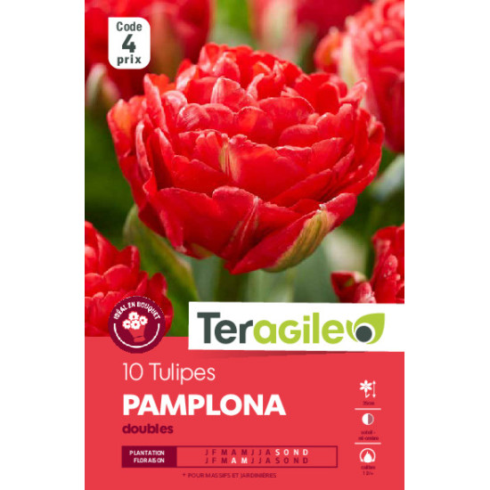 Tulipes pamplona calibre 12/+ x10 de Teragile - produits pour le jardin dans Tulipe en bulbes