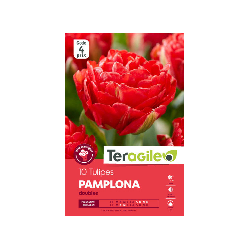 Tulipes pamplona calibre 12/+ x10 de Teragile - produits pour le jardin dans Tulipe en bulbes