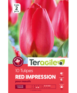 Tulipes red impression calibre 12/+ x10 de Teragile - produits pour le jardin dans Tulipe en bulbes