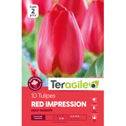 Tulipes red impression calibre 12/+ x10 de Teragile - produits pour le jardin dans Tulipe en bulbes
