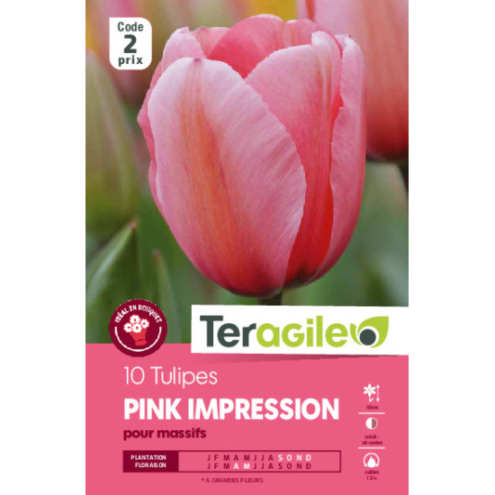 Tulipes pink imression calibre 12/+ x10 de Teragile - produits pour le jardin dans Tulipe en bulbes