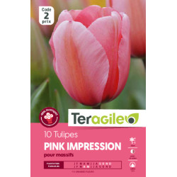 Tulipes pink imression calibre 12/+ x10 de Teragile - produits pour le jardin dans Tulipe en bulbes