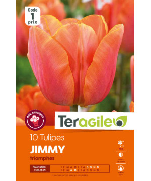 Tulipes jimmy calibre 12/+ x10 de Teragile - produits pour le jardin dans Tulipe en bulbes