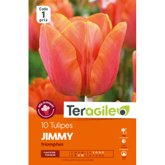 Tulipes jimmy calibre 12/+ x10 de Teragile - produits pour le jardin dans Tulipe en bulbes