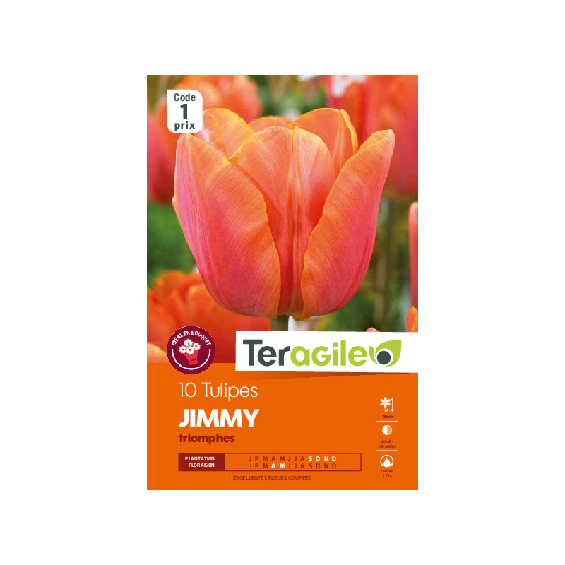 Tulipes jimmy calibre 12/+ x10 de Teragile - produits pour le jardin dans Tulipe en bulbes