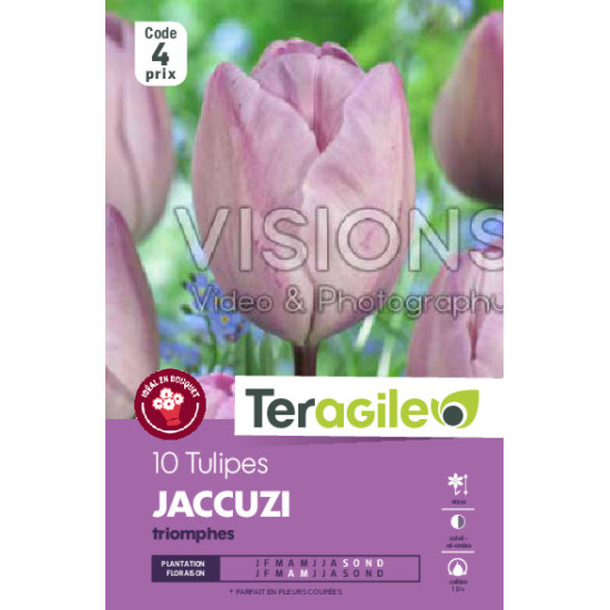 Tulipes jaccuzi calibre 12/+ x10 de Teragile - produits pour le jardin dans Tulipe en bulbes