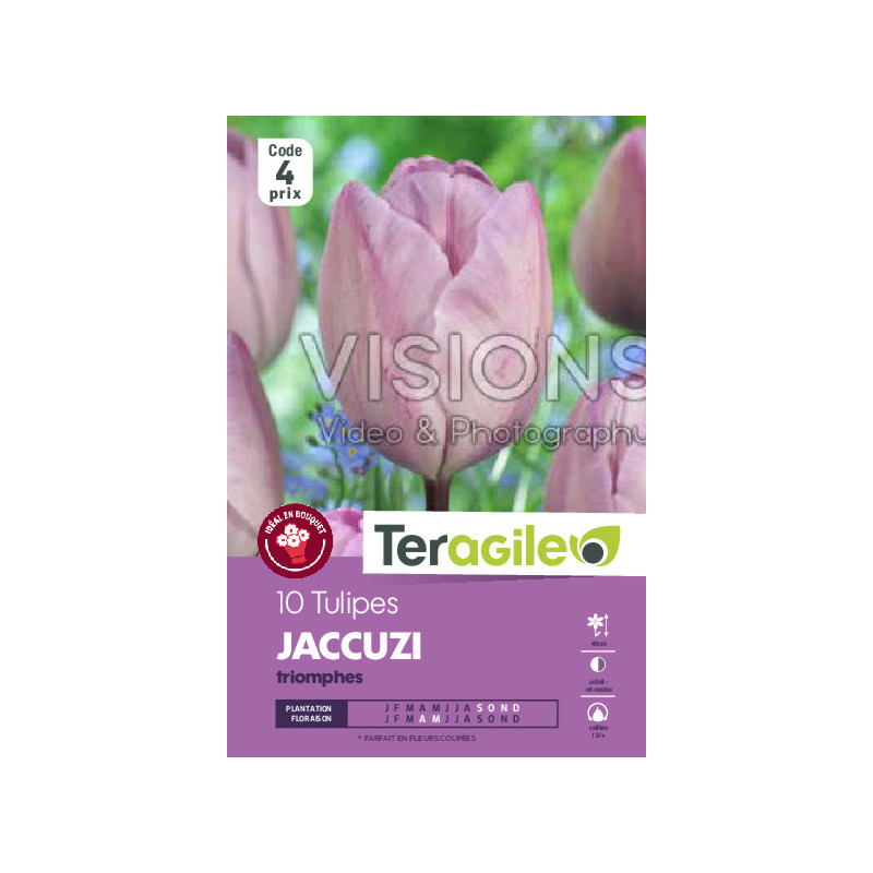 Tulipes jaccuzi calibre 12/+ x10 de Teragile - produits pour le jardin dans Tulipe en bulbes