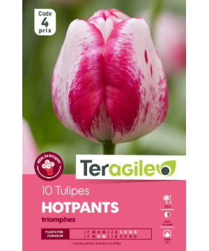Tulipes hotpants  calibre 12/+ x10 de Teragile - produits pour le jardin dans Tulipe en bulbes