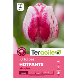 Tulipes hotpants  calibre 12/+ x10 de Teragile - produits pour le jardin dans Tulipe en bulbes