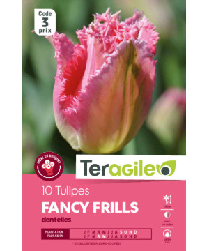Tulipes fancy frills calibre 12/+ x10 de Teragile - produits pour le jardin dans Tulipe en bulbes