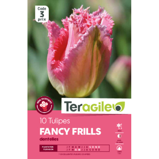 Tulipes fancy frills calibre 12/+ x10 de Teragile - produits pour le jardin dans Tulipe en bulbes