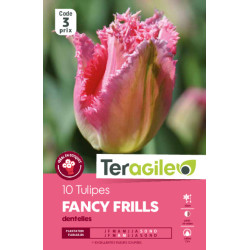 Tulipes fancy frills calibre 12/+ x10 de Teragile - produits pour le jardin dans Tulipe en bulbes