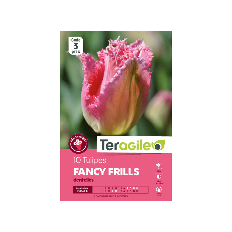 Tulipes fancy frills calibre 12/+ x10 de Teragile - produits pour le jardin dans Tulipe en bulbes