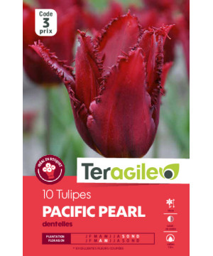 Tulipes pacific pearl calibre 12/+ x10 de Teragile - produits pour le jardin dans Tulipe en bulbes
