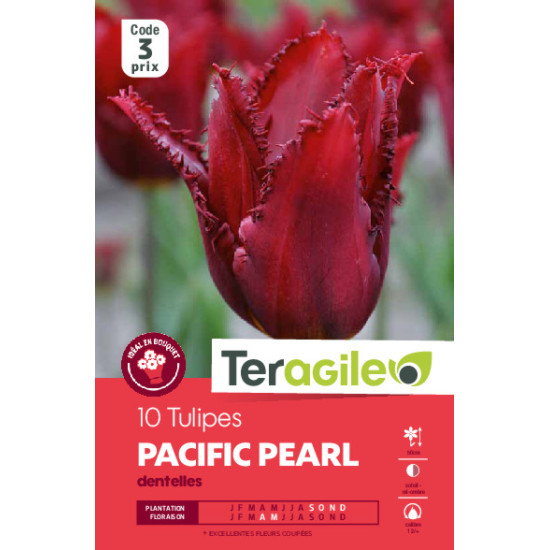 Tulipes pacific pearl calibre 12/+ x10 de Teragile - produits pour le jardin dans Tulipe en bulbes