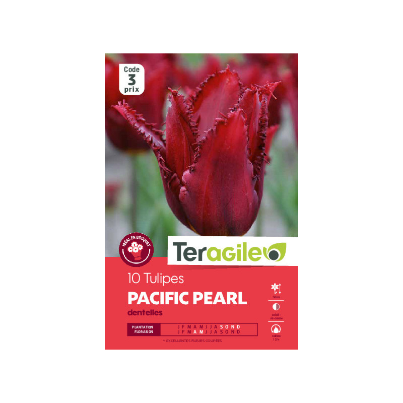 Tulipes pacific pearl calibre 12/+ x10 de Teragile - produits pour le jardin dans Tulipe en bulbes