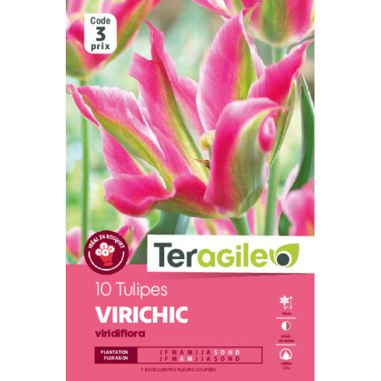 Tulipes virichic  calibre 12/+ x10 de Teragile - produits pour le jardin dans Tulipe en bulbes
