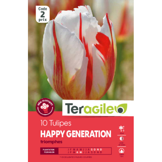 Tulipes happy generation calibre 12/+ x10 de Teragile - produits pour le jardin dans Tulipe en bulbes
