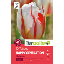 Tulipes happy generation calibre 12/+ x10 de Teragile - produits pour le jardin dans Tulipe en bulbes