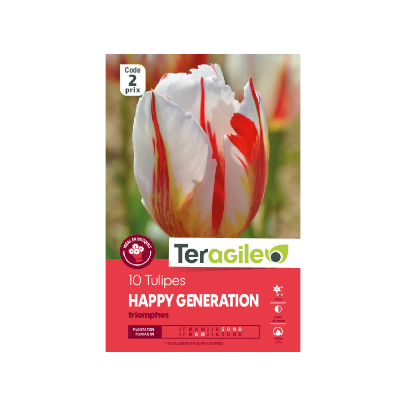 Tulipes happy generation calibre 12/+ x10 de Teragile - produits pour le jardin dans Tulipe en bulbes