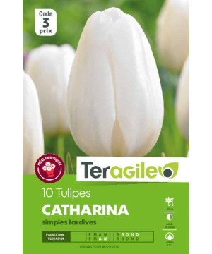 Tulipes catherina calibre 12/+ x10 de Teragile - produits pour le jardin dans Tulipe en bulbes