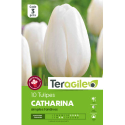 Tulipes catherina calibre 12/+ x10 de Teragile - produits pour le jardin dans Tulipe en bulbes