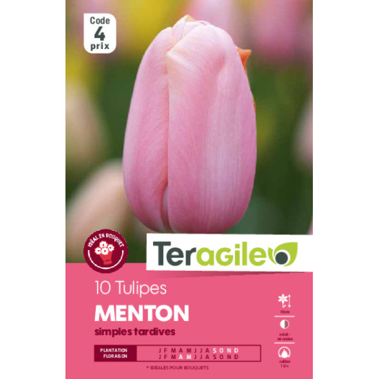 Tulipes menton calibre 12/+ x10 de Teragile - produits pour le jardin dans Tulipe en bulbes