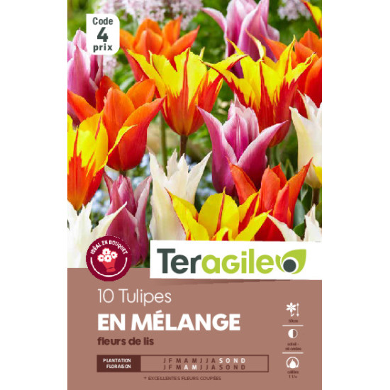 Tulipes fleur de lis en mélange calibre 12/+ x10 de Teragile - produits pour le jardin dans Tulipe en bulbes