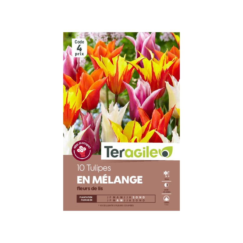 Tulipes fleur de lis en mélange calibre 12/+ x10 de Teragile - produits pour le jardin dans Tulipe en bulbes