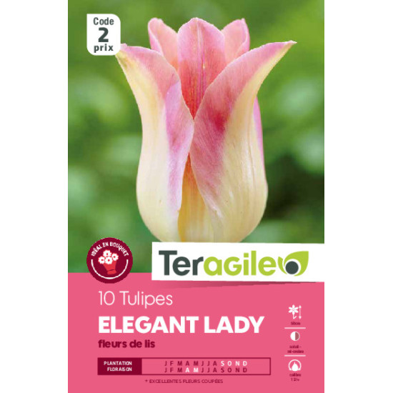Tulipes elegant lady  calibre 12/+ x10 de Teragile - produits pour le jardin dans Tulipe en bulbes