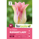 Tulipes elegant lady  calibre 12/+ x10 de Teragile - produits pour le jardin dans Tulipe en bulbes