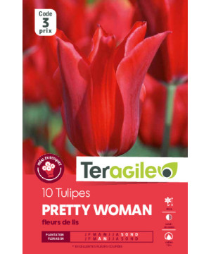 Tulipes pretty woman calibre 12/+ x10 de Teragile - produits pour le jardin dans Tulipe en bulbes