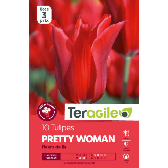 Tulipes pretty woman calibre 12/+ x10 de Teragile - produits pour le jardin dans Tulipe en bulbes