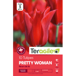 Tulipes pretty woman calibre 12/+ x10 de Teragile - produits pour le jardin dans Tulipe en bulbes