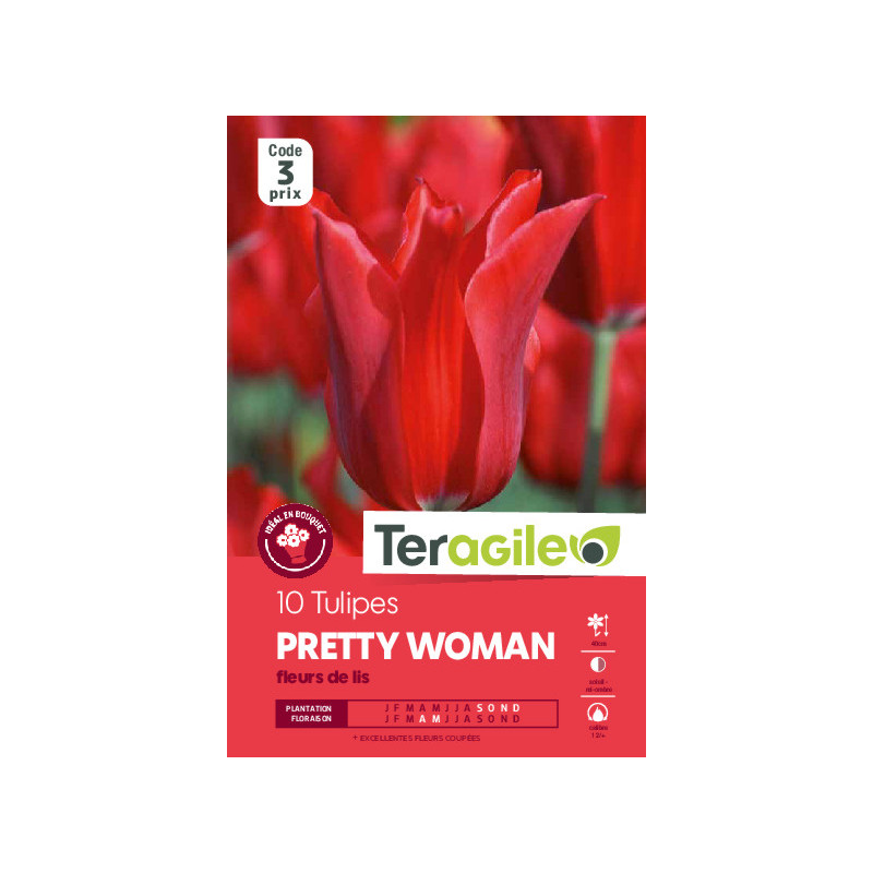 Tulipes pretty woman calibre 12/+ x10 de Teragile - produits pour le jardin dans Tulipe en bulbes
