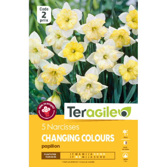 Narcisses changing colours - 5 bulbes à planter de Teragile - produits pour le jardin dans Narcisse - Jonquille en bulbes