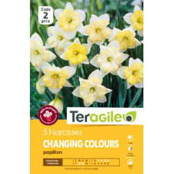 Narcisses changing colours - 5 bulbes à planter de Teragile - produits pour le jardin dans Narcisse - Jonquille en bulbes