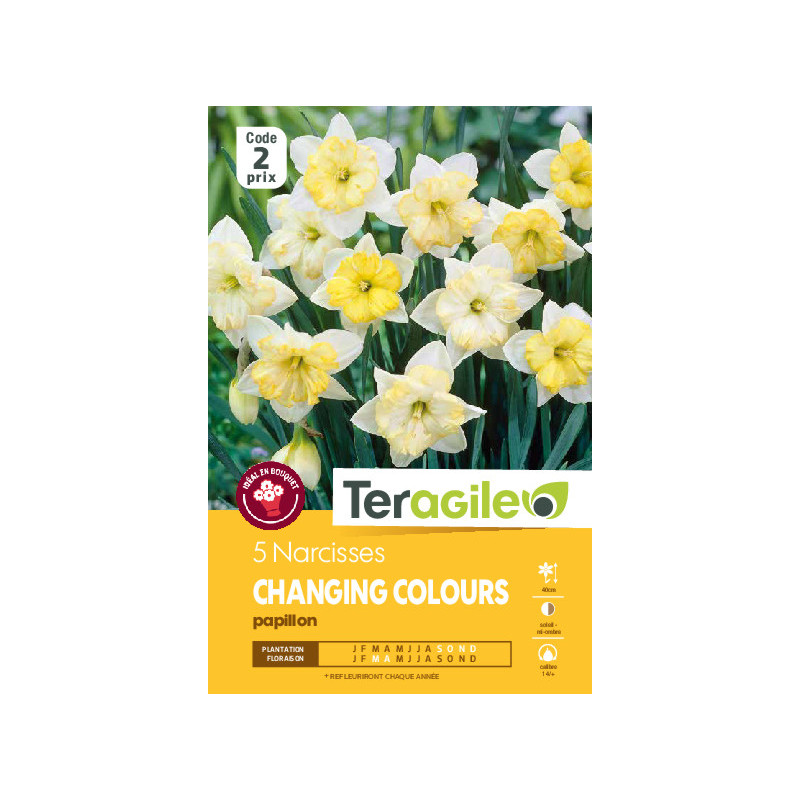Narcisses changing colours - 5 bulbes à planter de Teragile - produits pour le jardin dans Narcisse - Jonquille en bulbes