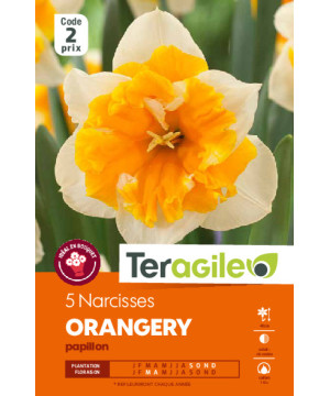 Narcisses orangery - 5 bulbes à planter de Teragile - produits pour le jardin dans Narcisse - Jonquille en bulbes