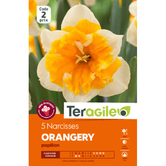 Narcisses orangery - 5 bulbes à planter de Teragile - produits pour le jardin dans Narcisse - Jonquille en bulbes