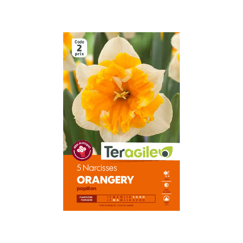 Narcisses orangery - 5 bulbes à planter de Teragile - produits pour le jardin dans Narcisse - Jonquille en bulbes