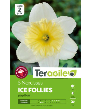 Narcisses ice follies - 5 bulbes à planter de Teragile - produits pour le jardin dans Narcisse - Jonquille en bulbes