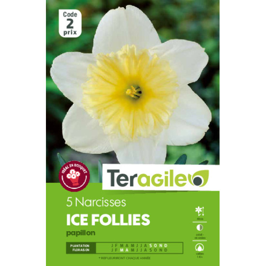 Narcisses ice follies - 5 bulbes à planter de Teragile - produits pour le jardin dans Narcisse - Jonquille en bulbes